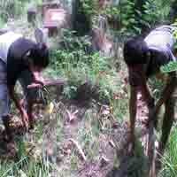  Warga Palembang Padati Taman Pemakaman Umum