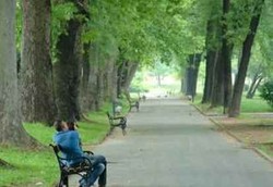 Fantasi Bercinta di Tempat Umum