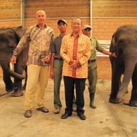 Diplomasi Gajah Sumatera ke Belgia