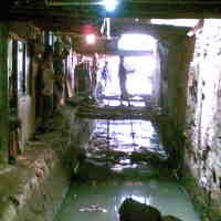 Ratusan Bangunan Liar di Jelambar Baru Dibongkar Paksa