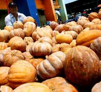 Labu Parang Banjiri Jakarta