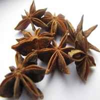 Bunga Lawang Penggugah Selera