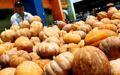 Labu Parang Banjiri Jakarta