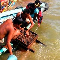  Tiga Bulan Ini Sungai Musi Diselami Pemburu Harta Karun