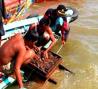 Berburu Harta Karun di Sungai Musi