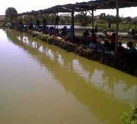 Mencari Ikan, Menanti Magrib