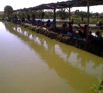 Mencari Ikan, Menanti Magrib Mencari Ikan, Menanti Magrib