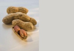 BPOM Temukan Zat Bahaya Pada Kacang Tanah, Kopi, Jagung Beras