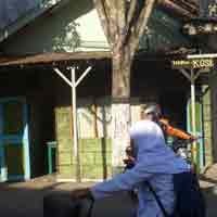 Ular Berkepala Manusia Dimusnahkan Agar Tidak Lahir Fitnah