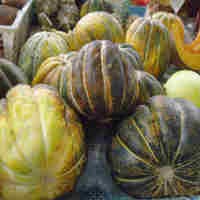 Blewah yang Harum dan Segar