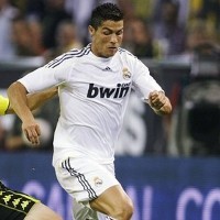 Predator-predator Berburu El Pichichi