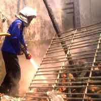 2 Petugas PMK Terluka Saat Berusaha Padamkan Api