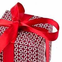 Palapa Ring Jadi Kado Istimewa Postel