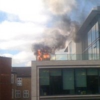 Google Terbakar, Ribuan Karyawan Tunggang Langgang  