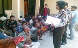 34 Orang Tertangkap Saat Sabung Ayam 