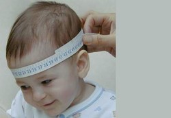 Kepala Besar Tanda Pintar?