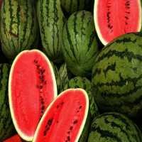 Semangka Juga Bisa Terbangkan Pesawat, Lho