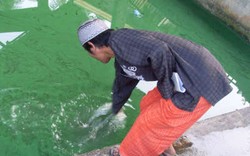 Legok, Sudut yang Terlupakan