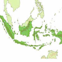 Pemerintah Diusulkan Bentuk Kementerian Urusan Perbatasan
