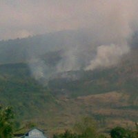 Puluhan Hektar Hutan di Lereng Gunung Guntur Terbakar