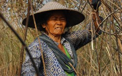 Guru Kehidupan dari Nek Inggih 