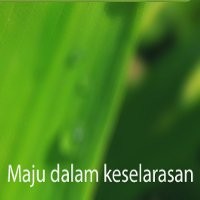 Air Sudah Mengalir Bersih dan Jernih di Jembatan Gambang Jakarta Utara