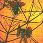 Ada Satu Kanal Nyempil di Pita 800 MHz 