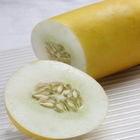 Si Kuning Segar Untuk Berbuka