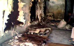 Pilih-pilih Kulit Penghasil Suara Bedug