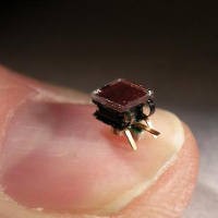 Kelompok Robot Mini Tirukan Semut