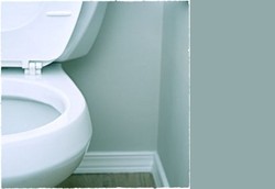 Sering Kencing Itu Pertanda Apa?