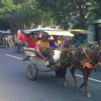 120 Delman dan Ondel-Ondel Ramaikan Jakarta