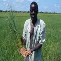 Puluhan Juta Warga Facebook Adalah Petani