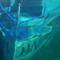 Kapal Tenggelam di Danau Macedonia, 15 Orang Tewas