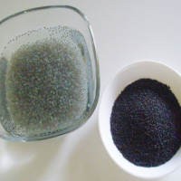 Selasih, Si Mungil yang Serbaguna