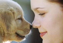 Pelihara Binatang Jangan Asal