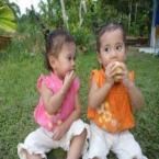 Kembar Safina A. Sholikha & Vania A. Sholikha, 1,6 Tahun; Perempuan; f