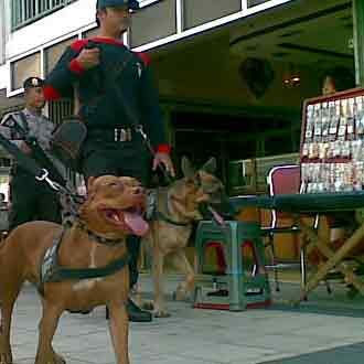 K9 Cegah Pelaku Kejahatan