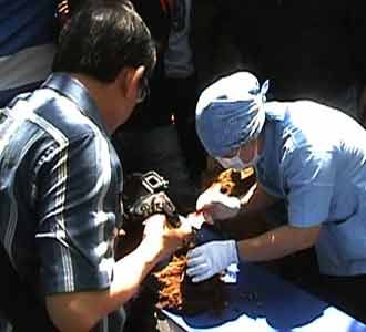 Makam Tan Malaka Dibongkar