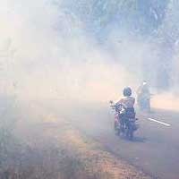 Awas..! Hutan di Jalur Ngawi-Solo Terbakar