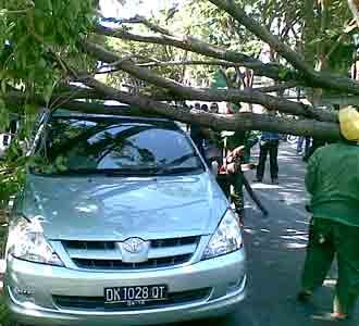 Pohon Tumbang Timpa Innova