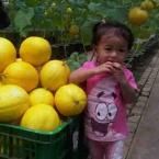 Callista Winny Sephira, 1,7 Tahun; Perempuan; f