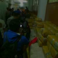 Ganja Disimpan di Tumpukan Jeruk dan Pisang