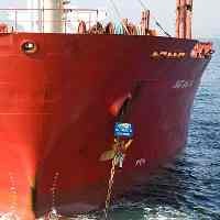 Aktivis Greenpeace Cegat Kapal Pengangkut Sawit dari Indonesia