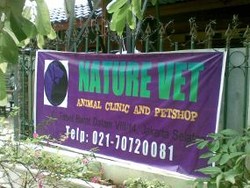 Penitipan Hewan Ramai Jelang Lebaran, Dari Kucing Sampai Kukang