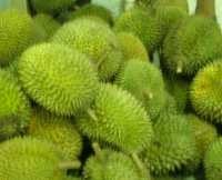 Durian Termasuk Makanan Teraneh Sedunia