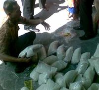Megawati Bagi-bagi Beras