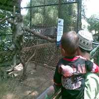 Kera Jepang dan Bango Tongtong Meriahkan Bunbin Bandung