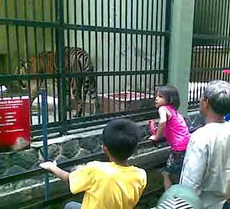 Warga Serbu Bunbin Bandung