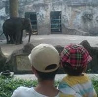 Ragunan Diserbu Lebih dari 70 Ribu Pengunjung
